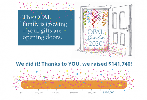 OPAL raises $141,740